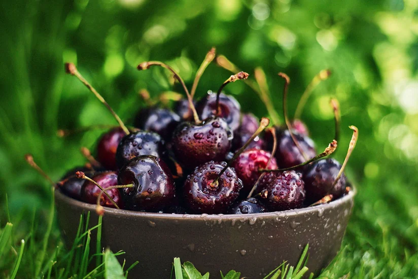 Azerbaijan increases cherry exports to key supply market by 32%