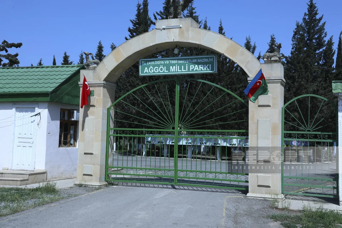 Bu il Ağgöl Milli Parkında 78 minə yaxın ornitofauna nümunəsi qeydə alınıb