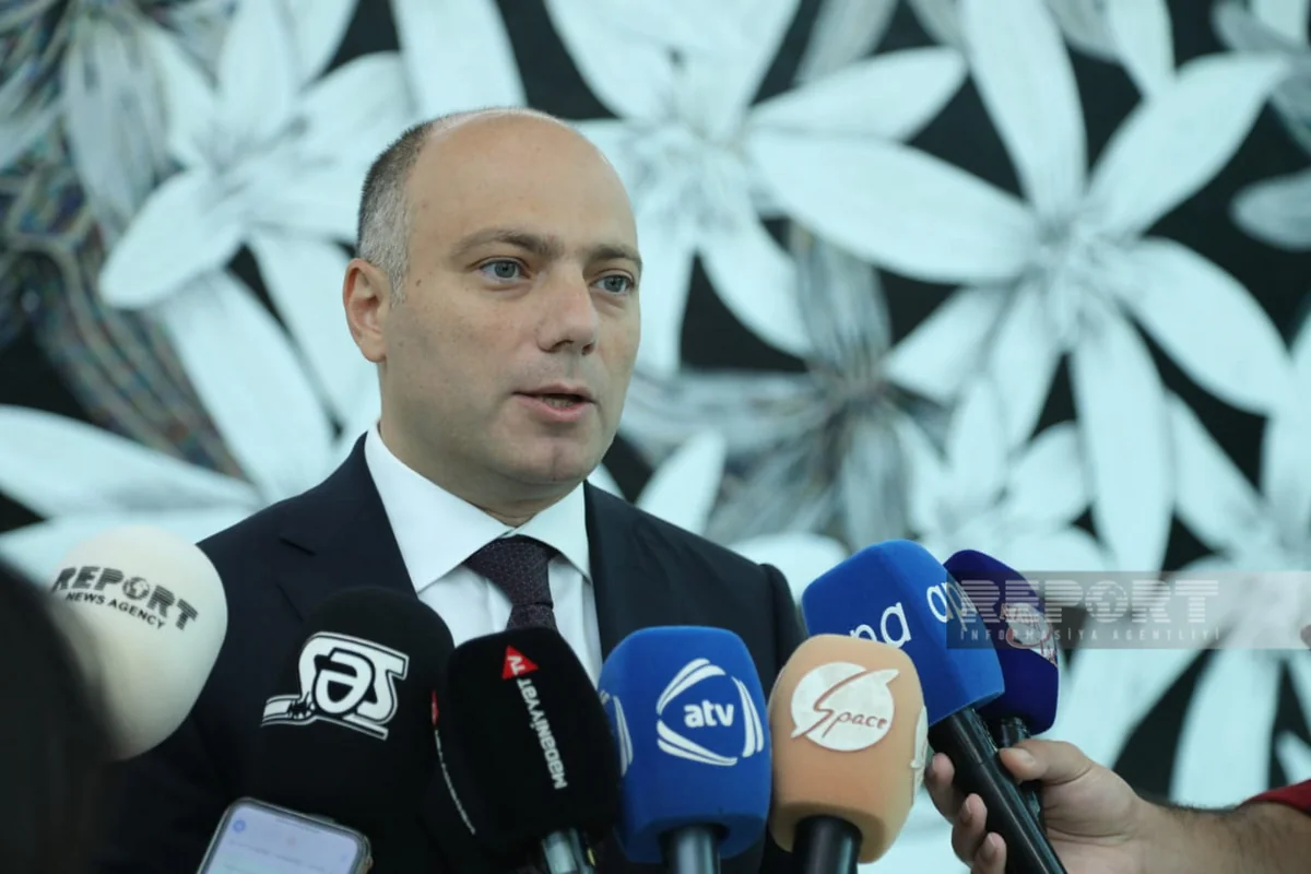 Regionlardakı musiqi məktəblərində korrupsiya pozuntuları və ölü canlar aşkarlanıb