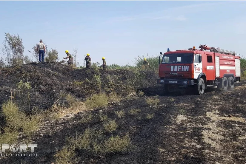 В регионе Азербайджана сгорело пшеничное поле - ФОТО