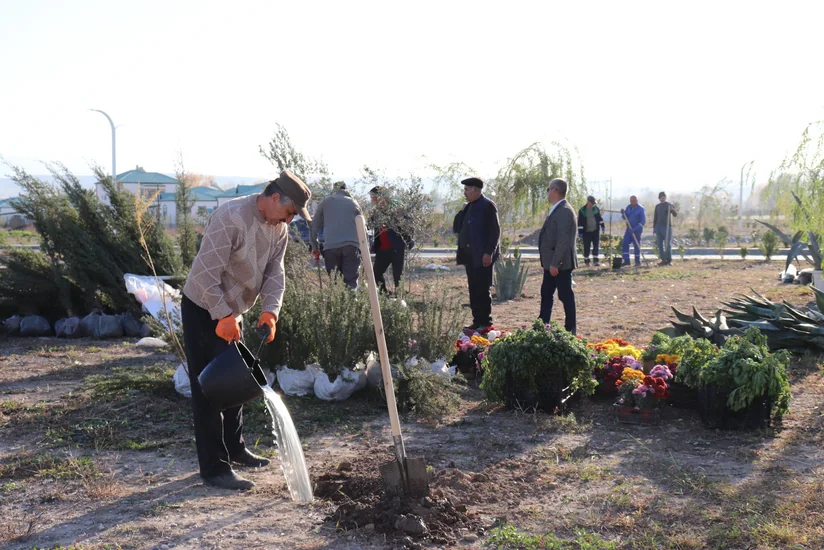 Ağalı kəndində yaşıllaşdırma işi həyata keçirilib