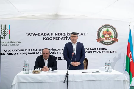 Qaxda fındıqçılıq sahəsi üzrə ilk kooperativ layihəsinin təqdimatı keçirilib