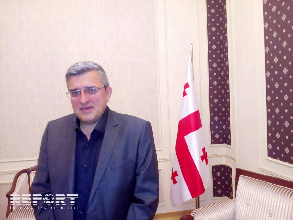 Gürcü politoloq: Azərbaycana arxa çevirmək olmaz