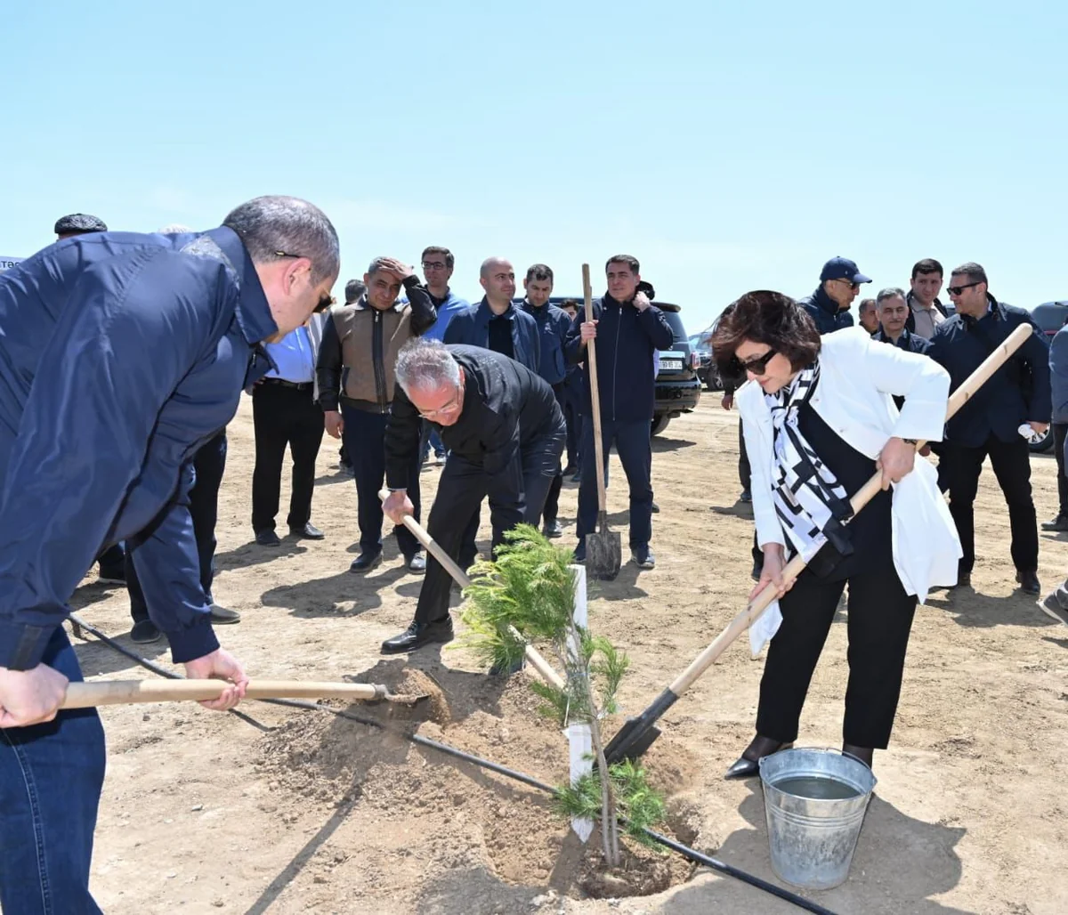 Heydər Əliyevin 100 illik yubileyi ilə əlaqədar ağacəkmə tədbirləri davam edir
