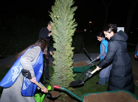 Leyla Əliyevanın təşəbbüsü ilə Bakıda ağacların qeydiyyatı və nömrələnməsi üzrə layihəyə start verilib