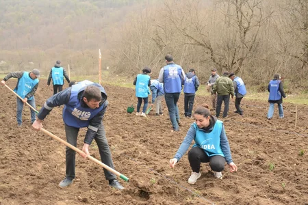 “Yaşıl Marafon” çərçivəsində Qubada meşəsalma aksiyası keçirilib