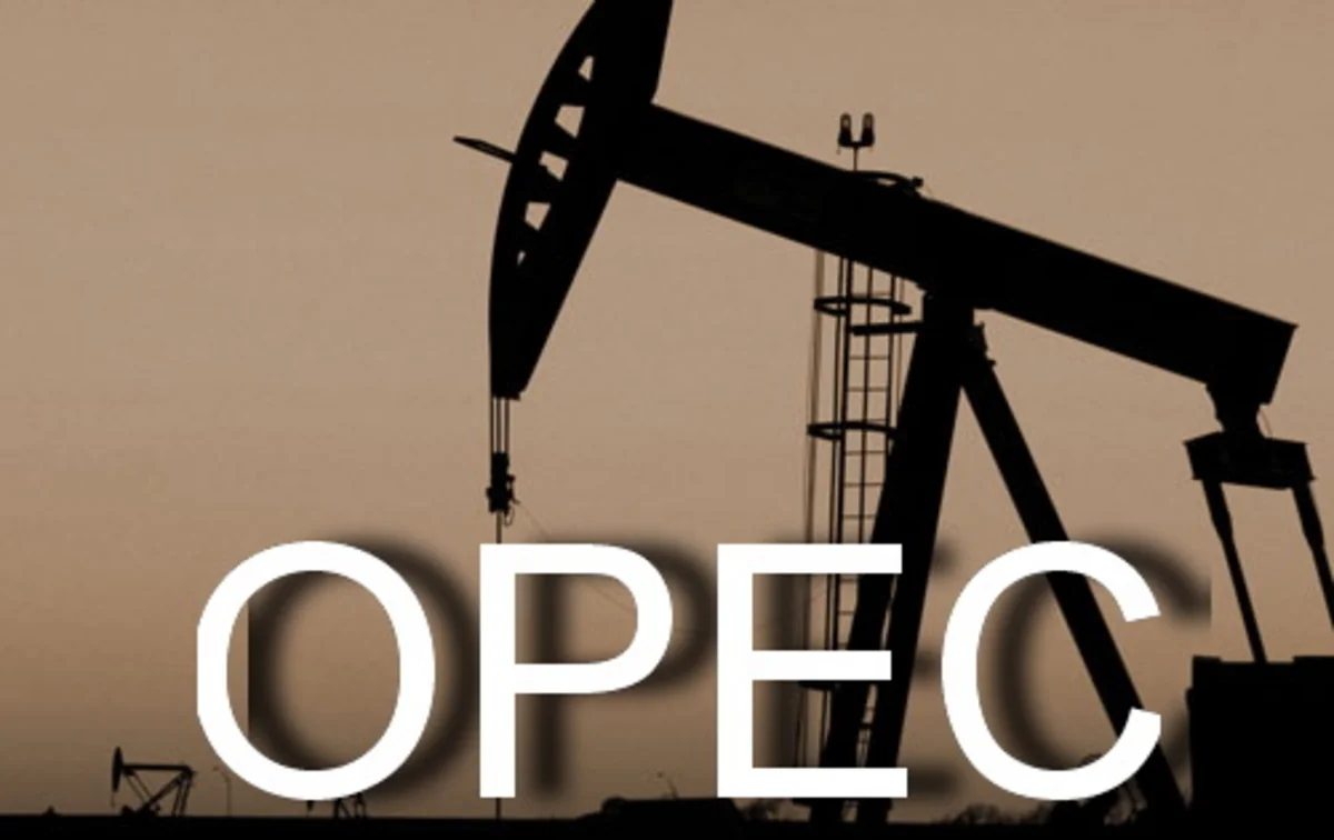 OPEC: Bu il Azərbaycan gündəlik 900 min barel maye qaz tədarük edəcək