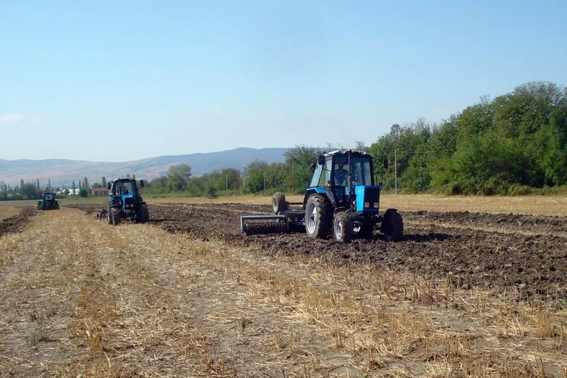 Deputat: Pay torpaqları insanların sosial müavinət almalarına mane olur