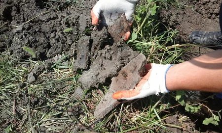 ​ANAMA: 15 ədəd piyada əleyhinə mina, 3 ədəd piyada əleyhinə mina zərərsizləşdirilib - FOTO