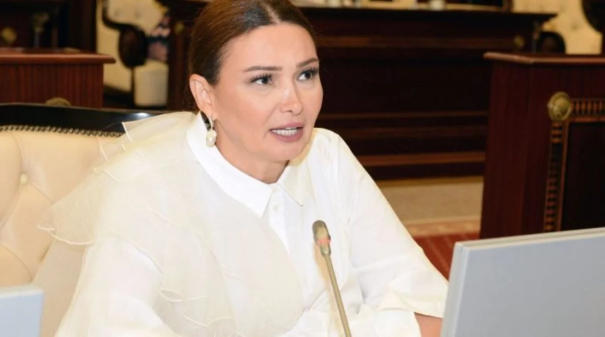 Qənirə Paşayeva icra başçılarına çağırış edib