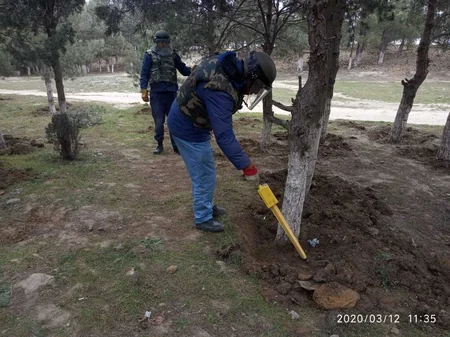 Sumqayıtda parkda xeyli sayda güllə tapıldı