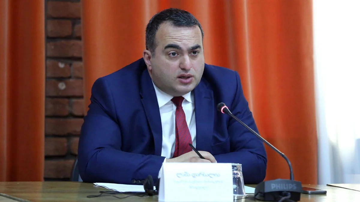 Gürcüstan XİN rəhbərinin müavini: Ümid edirik ki, Azərbaycan və Ermənistan danışıqlarda uğur qazanacaq