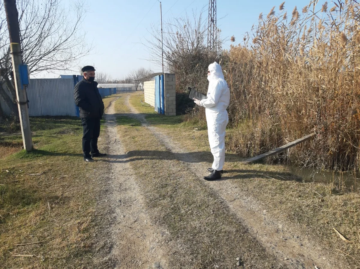 Sabirabadda koronavirus xəstəsinin törətdiyi əməl polis tərəfindən araşdırılır