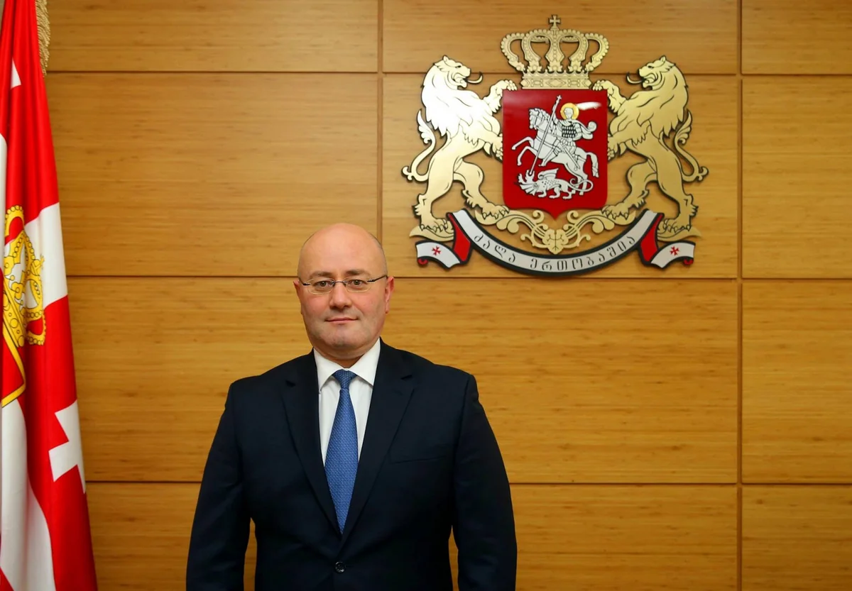 Gürcüstanın müdafiə naziri Azərbaycana səfər edəcək