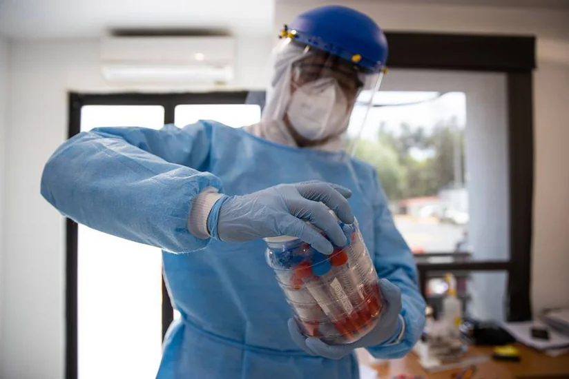 Распространение оспы обезьян в Европе может быть вызвано ее новым штаммом