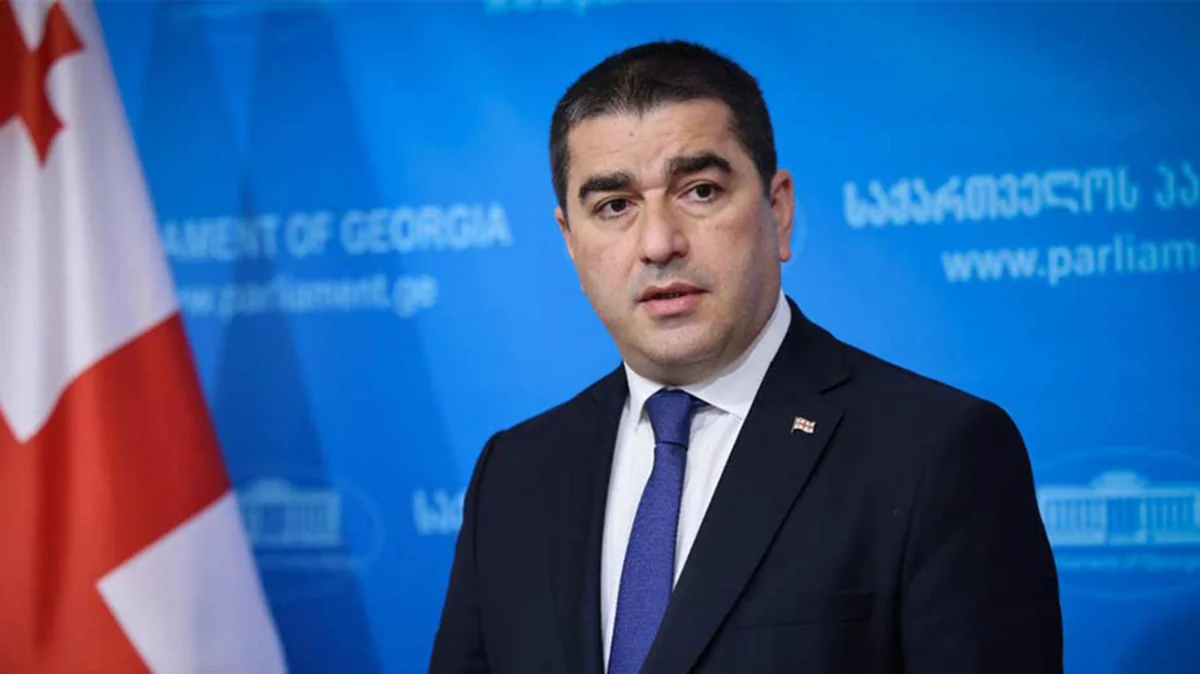 Georgian speaker: OSCE/ODIHR joined 2008 vote despite late invitation