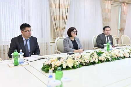 Sahibə Qafarova Türkiyə səfirini qəbul edib