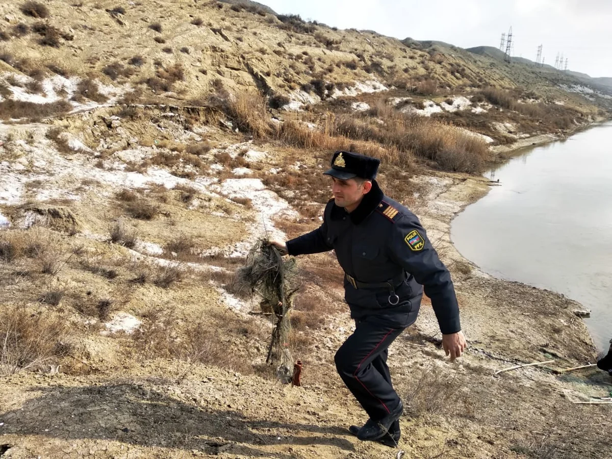Şirvanda brakonyerliyə qarşı reyd keçirilib, qanunsuz ov qurğuları məhv edilib
