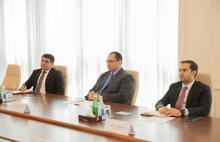 Azərbaycan FAO ilə azad edilmiş ərazilərdə kənd təsərrüfatının inkişaf etdirilməsini müzakirə edib