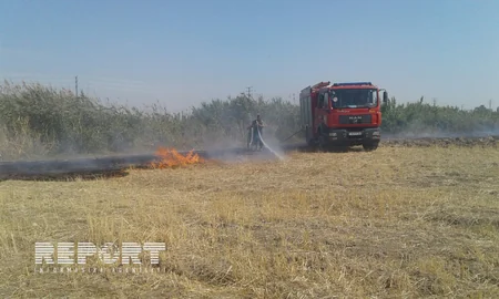 Şabranda biçilmiş əkin sahələrində baş vermiş yanğın söndürülüb - YENİLƏNİB - VİDEO