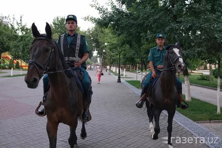 На улицы Ташкента вышел конный патруль