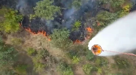 FHN: Meşə yanğınlarının söndürülməsinə 1140 nəfərdən çox canlı qüvvə və 120 texnika cəlb olunub