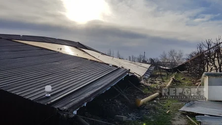 Güclü külək Göyçayda fəsadlar törədib
