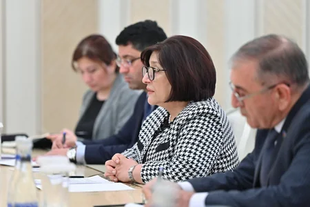Сахиба Гафарова встретилась с заместителем председателя Совета Шуры Государства Катар