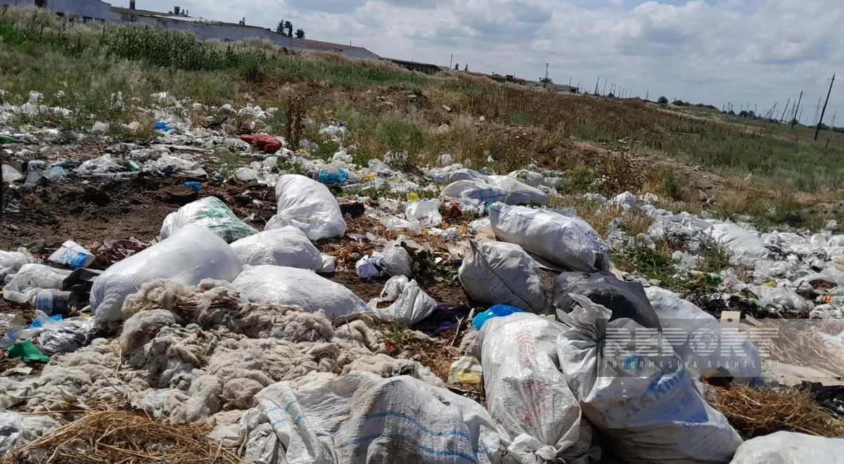 Biləsuvarda bələdiyyə sədrləri inzibati məsuliyyətə cəlb olunub