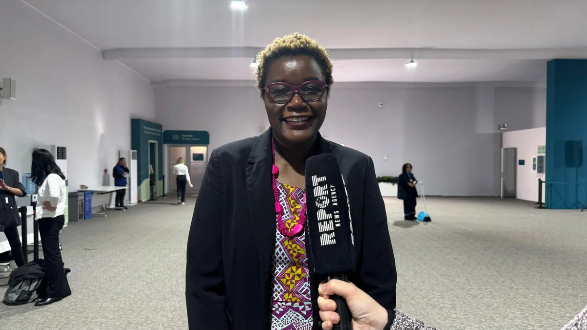 UN Women: Climate finance must be gender-responsive