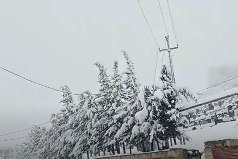 Азеришыг“ восстановил электроснабжение в селах Джалилабада 