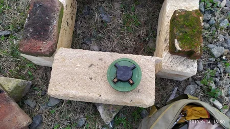 Lənkəran rayonunda piyada əleyhinə təlim minası tapılıb