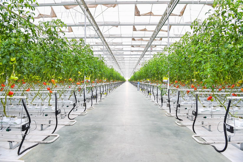 New agro-parks established in Azerbaijan