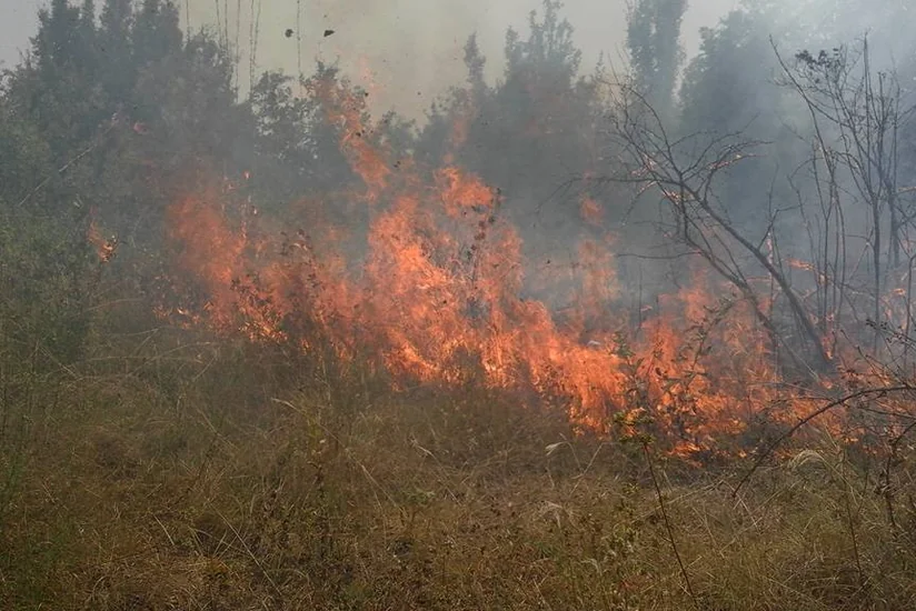 В грузинском регионе Боржоми разгорелся лесной пожар