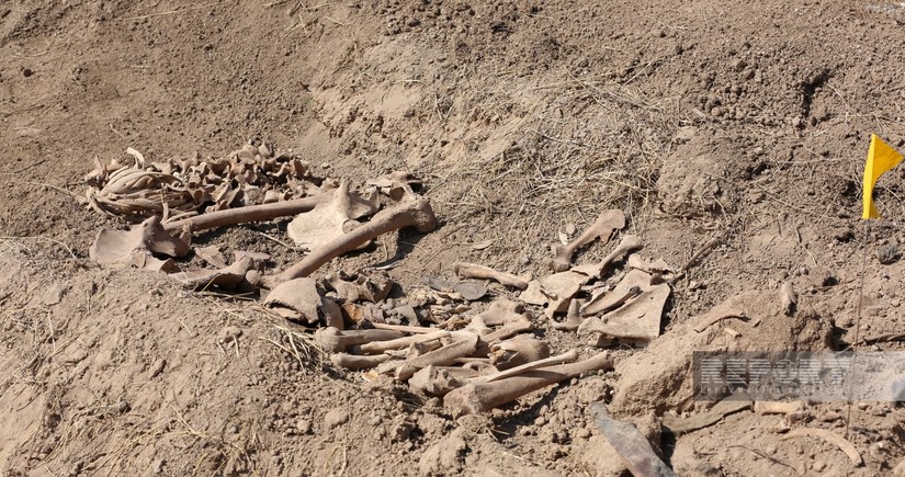 Bone fragments resembling human skeleton discovered in Azerbaijan’s Aghdam