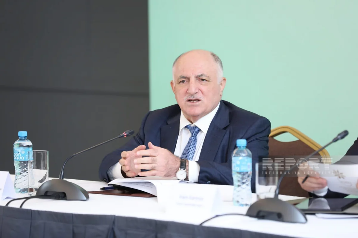 Мамед Мусаев: Доля предпринимательства в ВВП достигла 81%