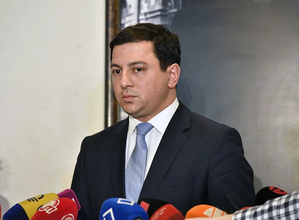 Spiker: “Gürcüstan-Azərbaycan münasibətlərində heç bir narahatlıq ola bilməz”