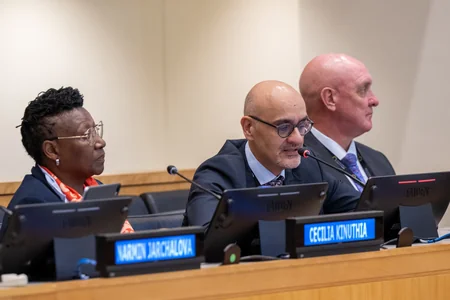 COP29 nümayəndə heyəti BMT Baş Assambleyasının sessiyası və Nyu-York İqlim Həftəsinə qatılıb