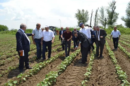 Yevlaxda pambiq səpininə hazırlıq və səpinin səmərəli təşkilinə dair müşavirə keçirilib
