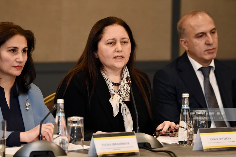 Aynur Sofiyeva: Uşaqlara zorakılıqla bağlı hüquqi bazanın təkmilləşdirilməsi üçün sənədlər hazırlanır