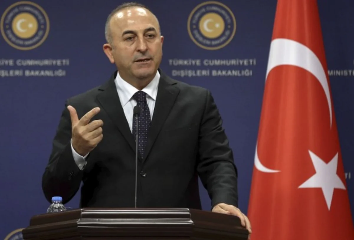 Turkey calls for more cooperation on foreign fighters issue