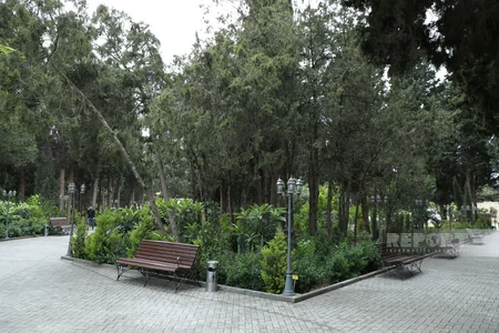 Mərkəzi Nəbatat Bağında amfiteatr inşa olunacaq, göl yaradılacaq