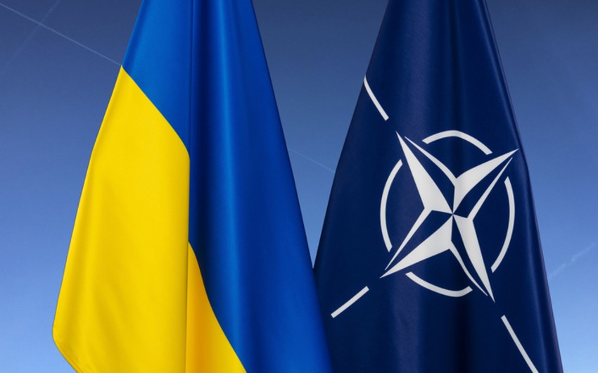 The Times: NATO should solve internal problems instead of hoping for victory in Ukraine