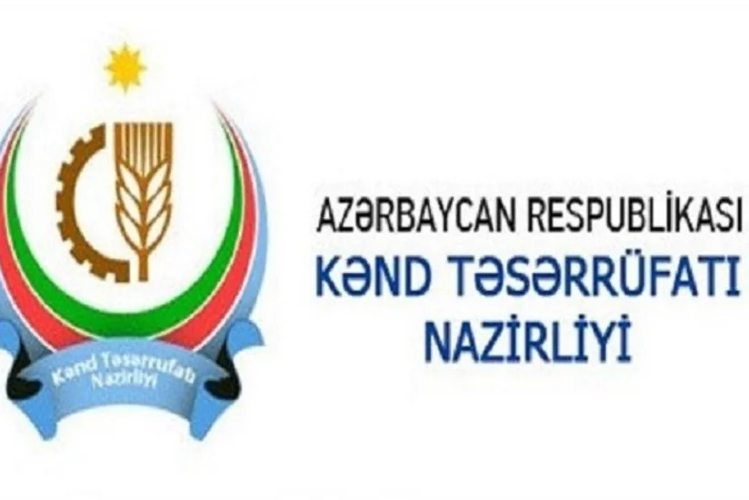 Kənd Təsərrüfatı Nazirliyi: Qısa müddətdə qiymətlər aşağı düşəcək