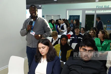 Seminar on renewable energy implementation held at COP29 National NGO Forum Pavilion