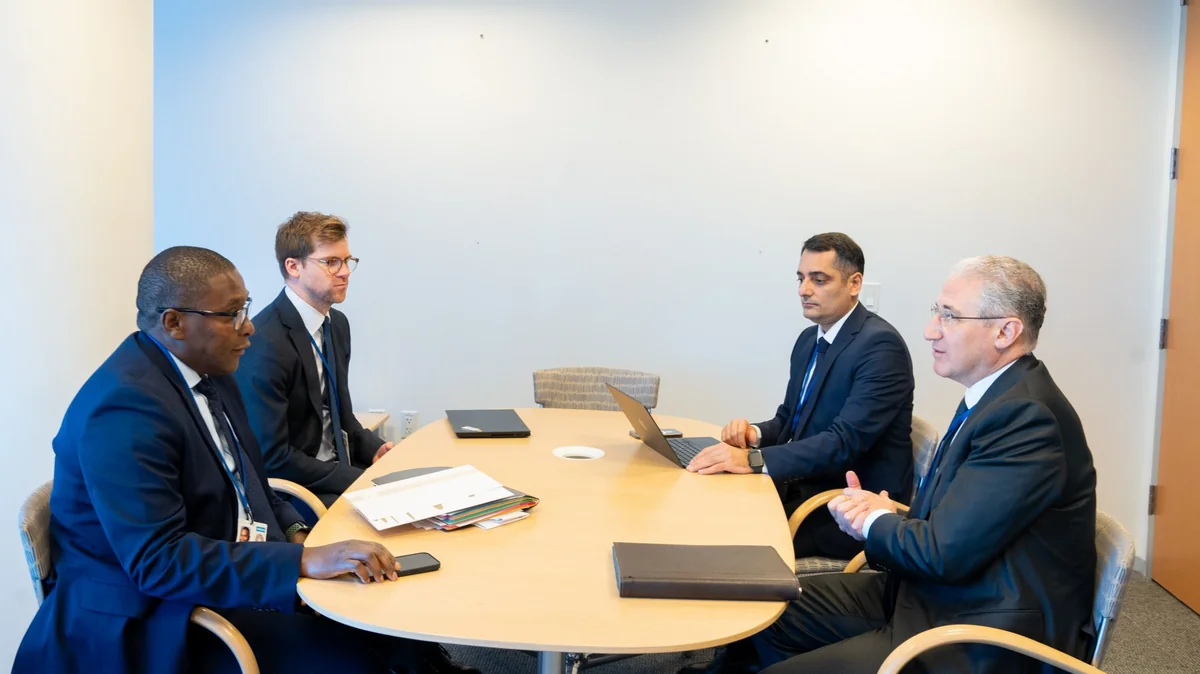 COP29 president mulls climate initiatives with UN secretary-general's advisor