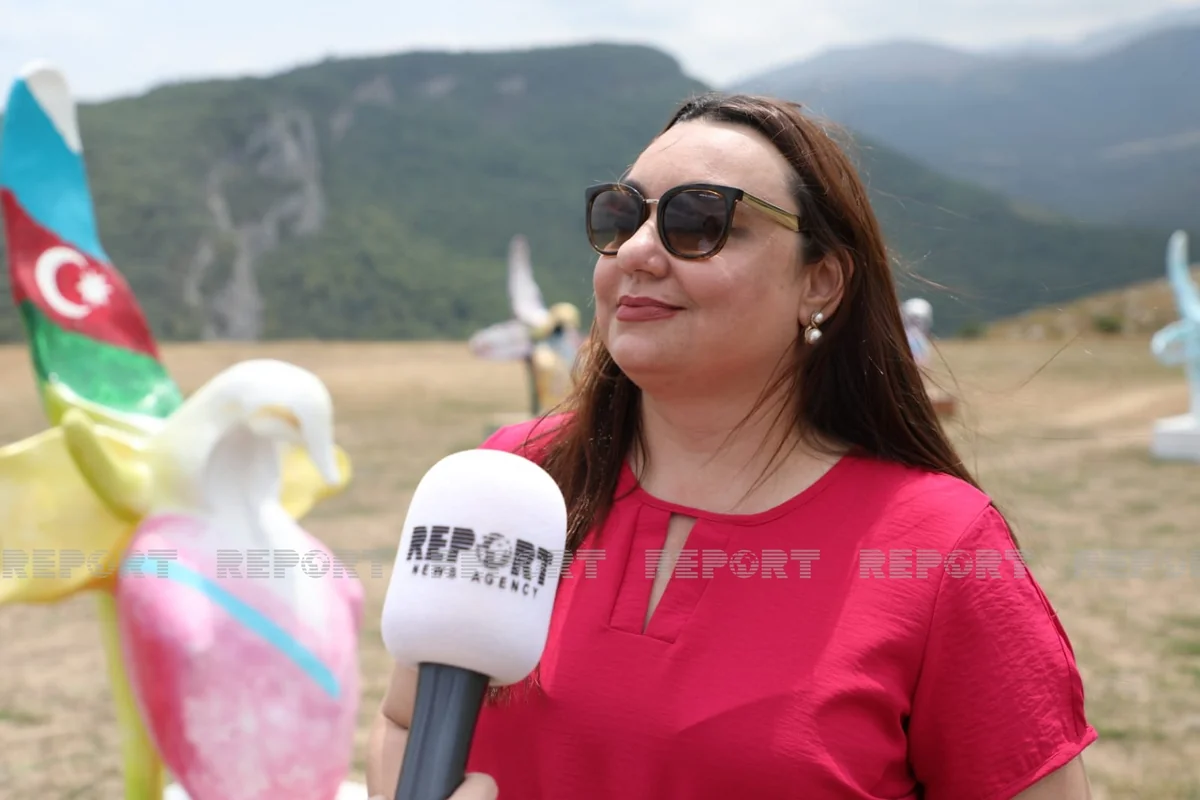 We saw only ruins in Jabrayil, says Brazilian journalist