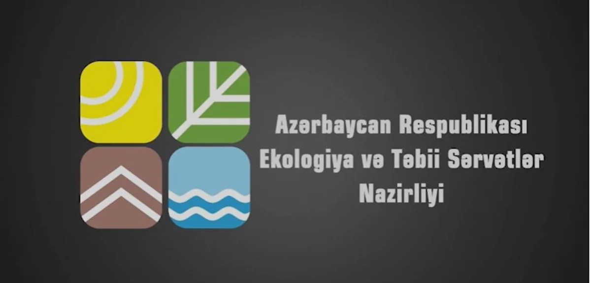 МЭПР призвала граждан оставаться дома - ВИДЕО