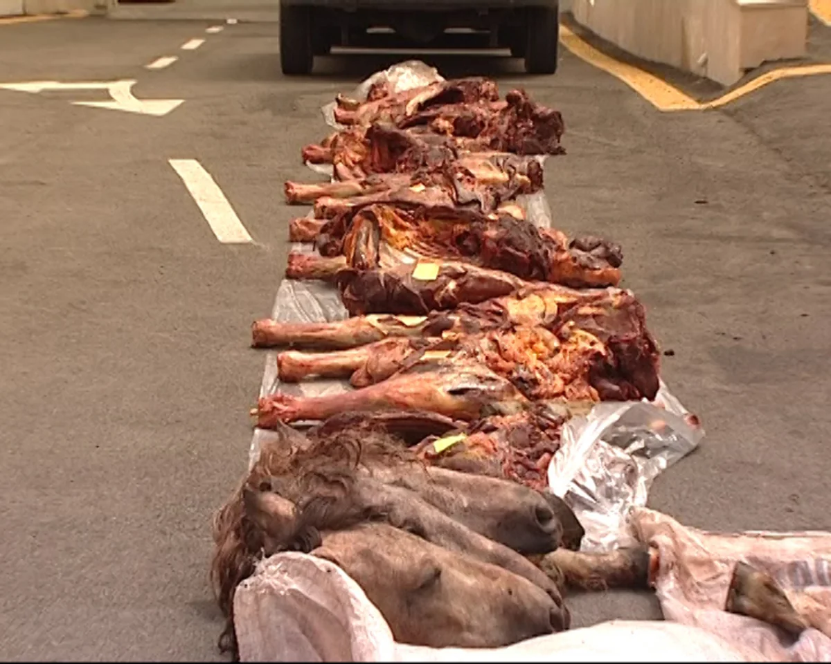 ​Ağdaş sakinləri 945 kiloqram at əti satmaq istəyərkən saxlanılıblar