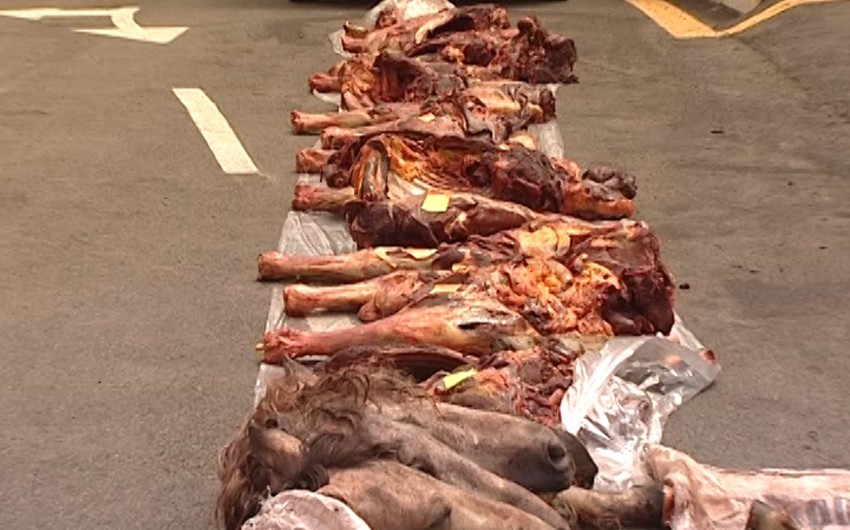 ​Ağdaş sakinləri 945 kiloqram at əti satmaq istəyərkən saxlanılıblar